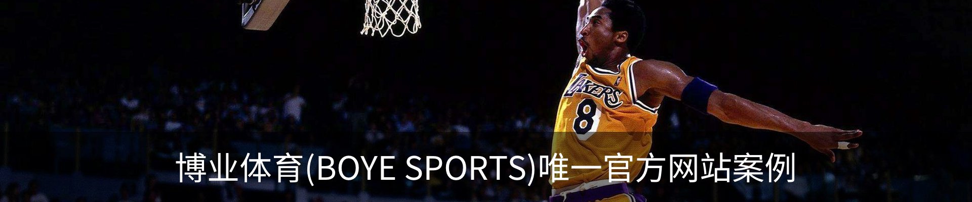 博业体育(BOYE SPORTS)唯一官方网站案例